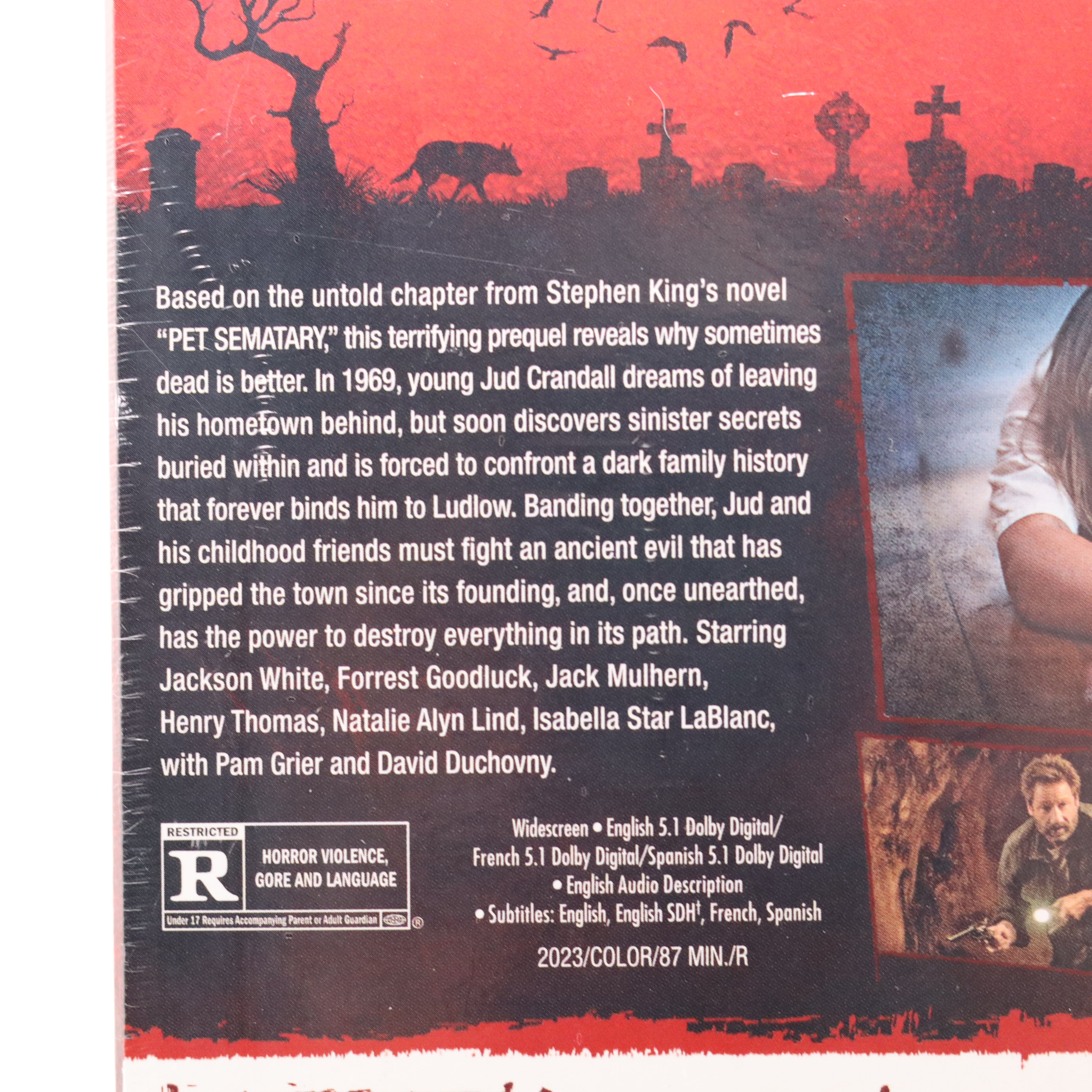 Pet Sematary two movie DVD collection