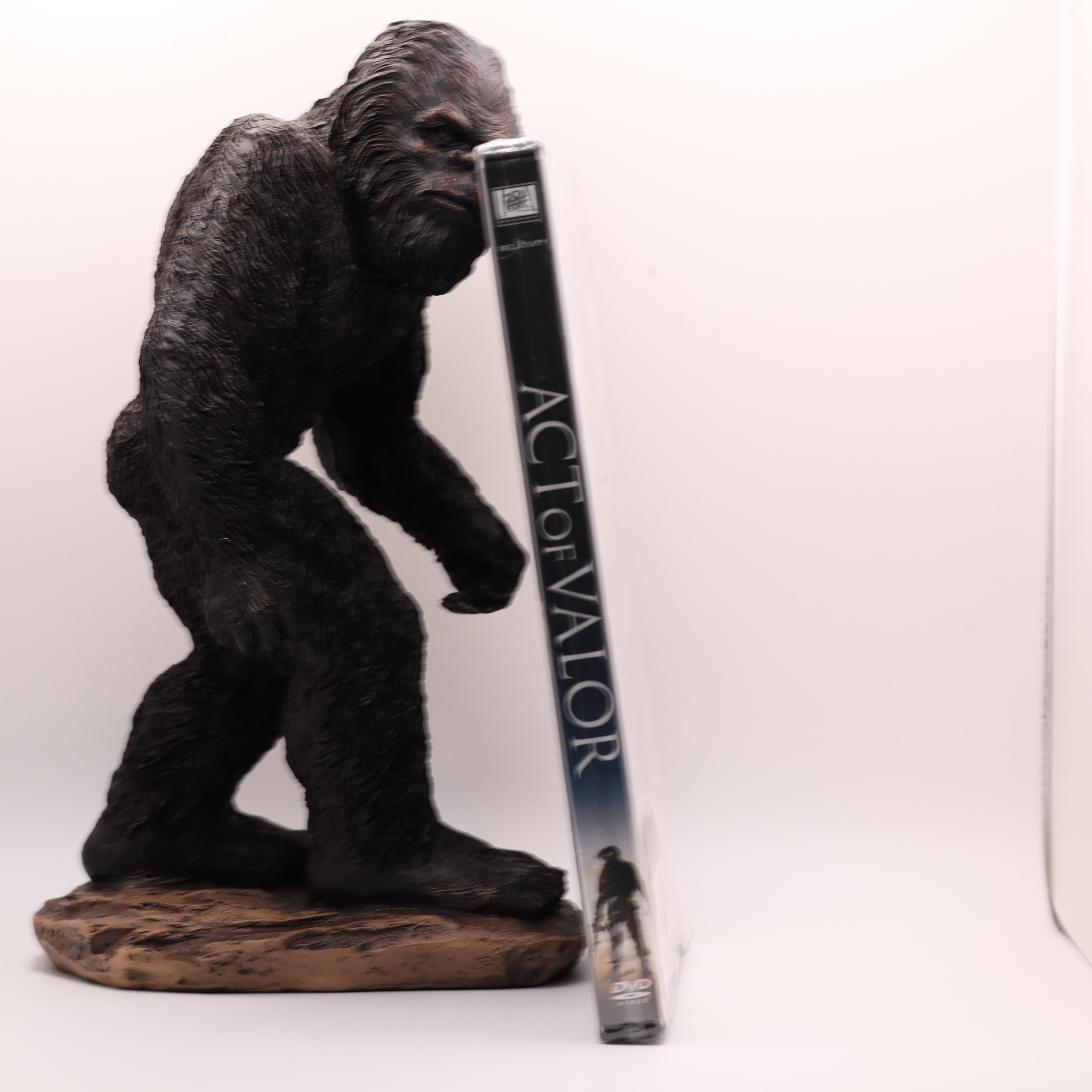 Act of Valor DVD - Navy SEAL Action Thriller