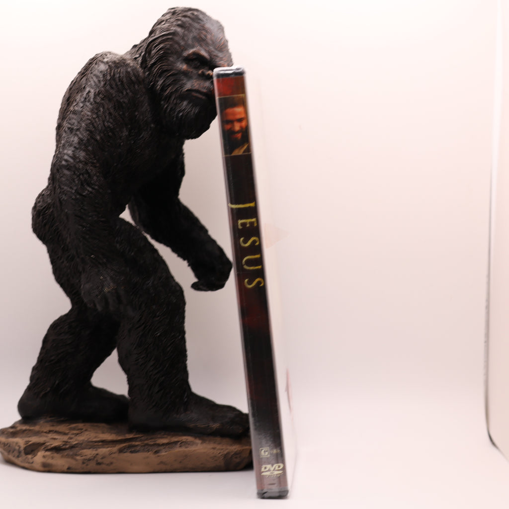 Jesus DVD - Biblical Life of Christ Movie