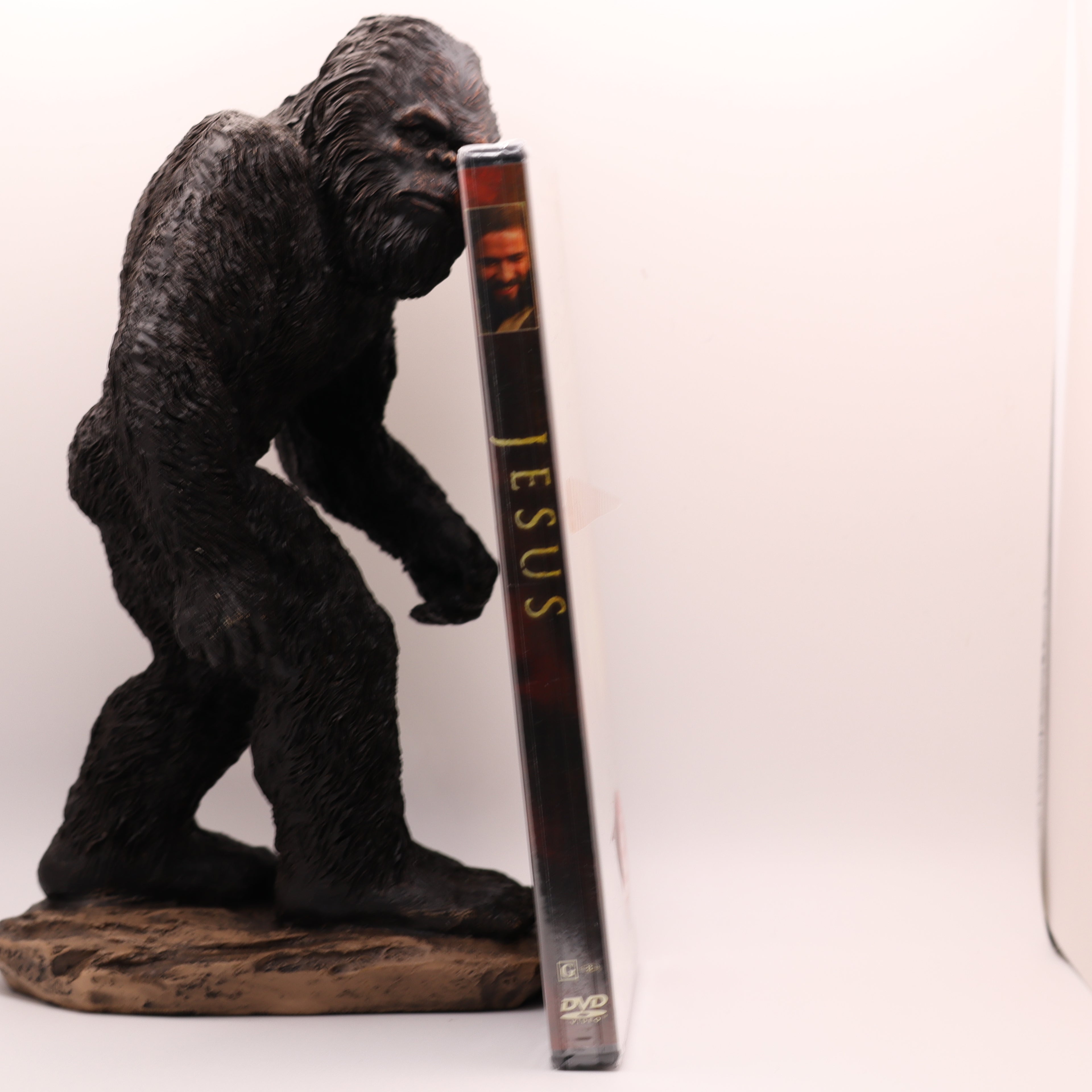 Jesus DVD - Biblical Life of Christ Movie