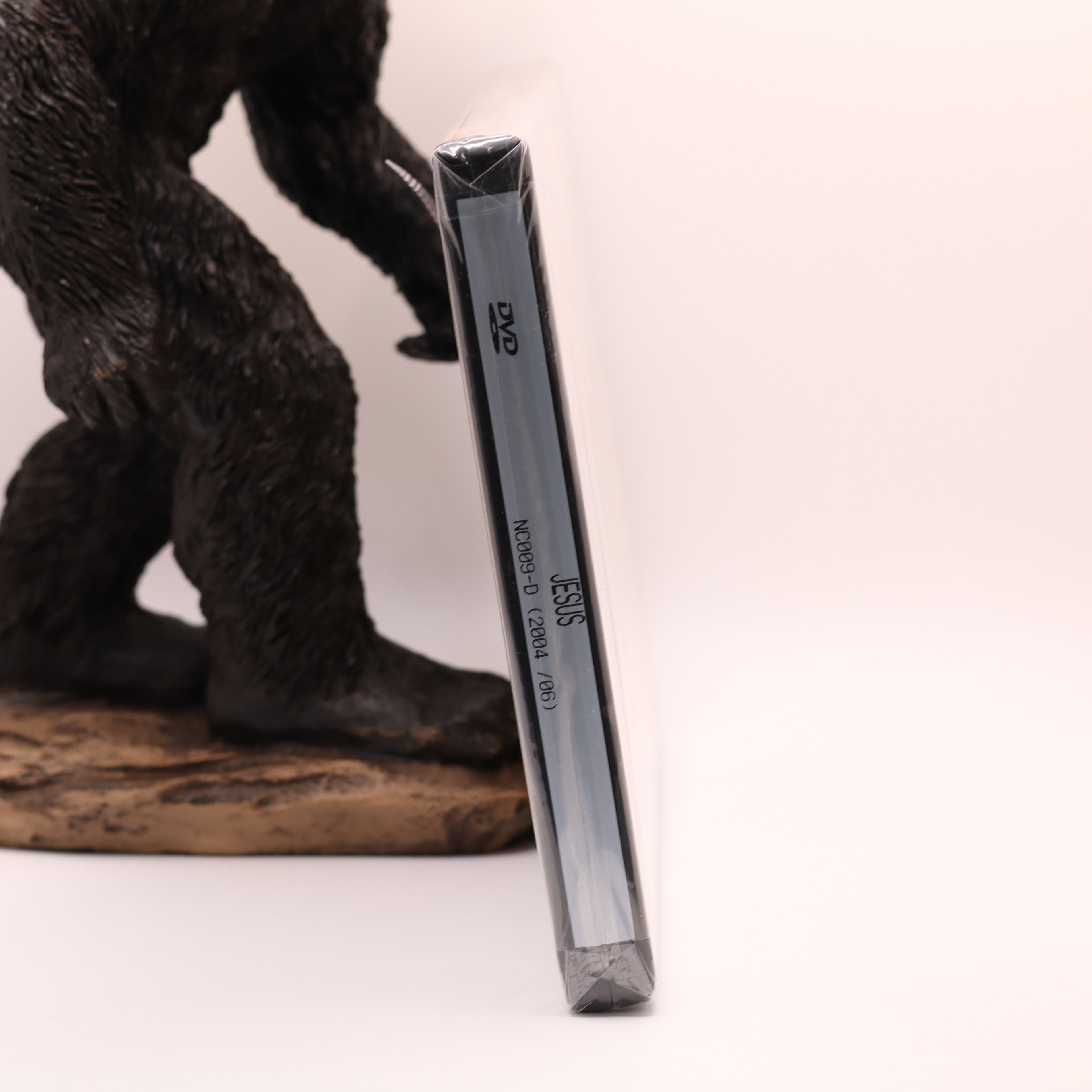 Jesus DVD - Biblical Life of Christ Movie