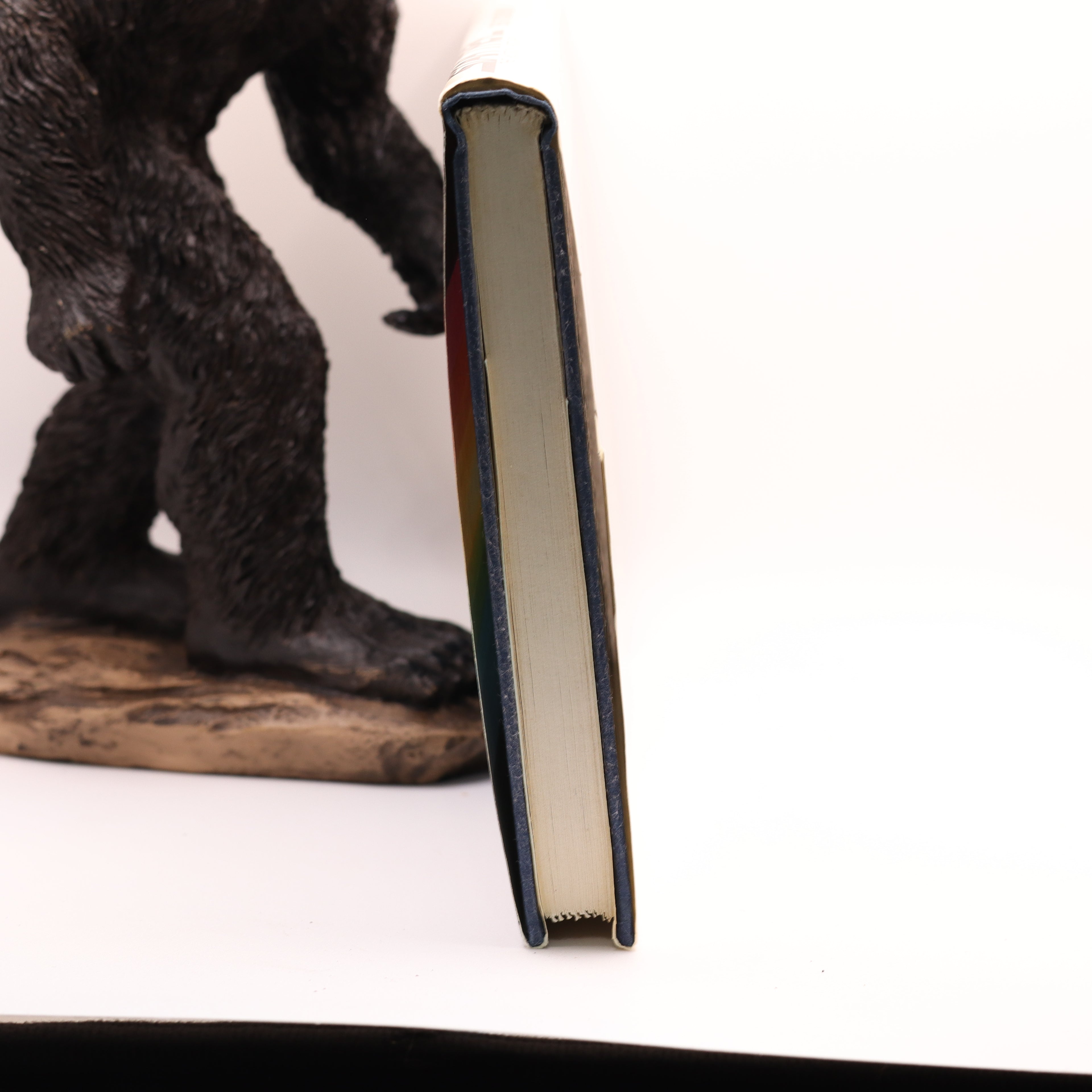 Bear figurine leaning against a book on a white background