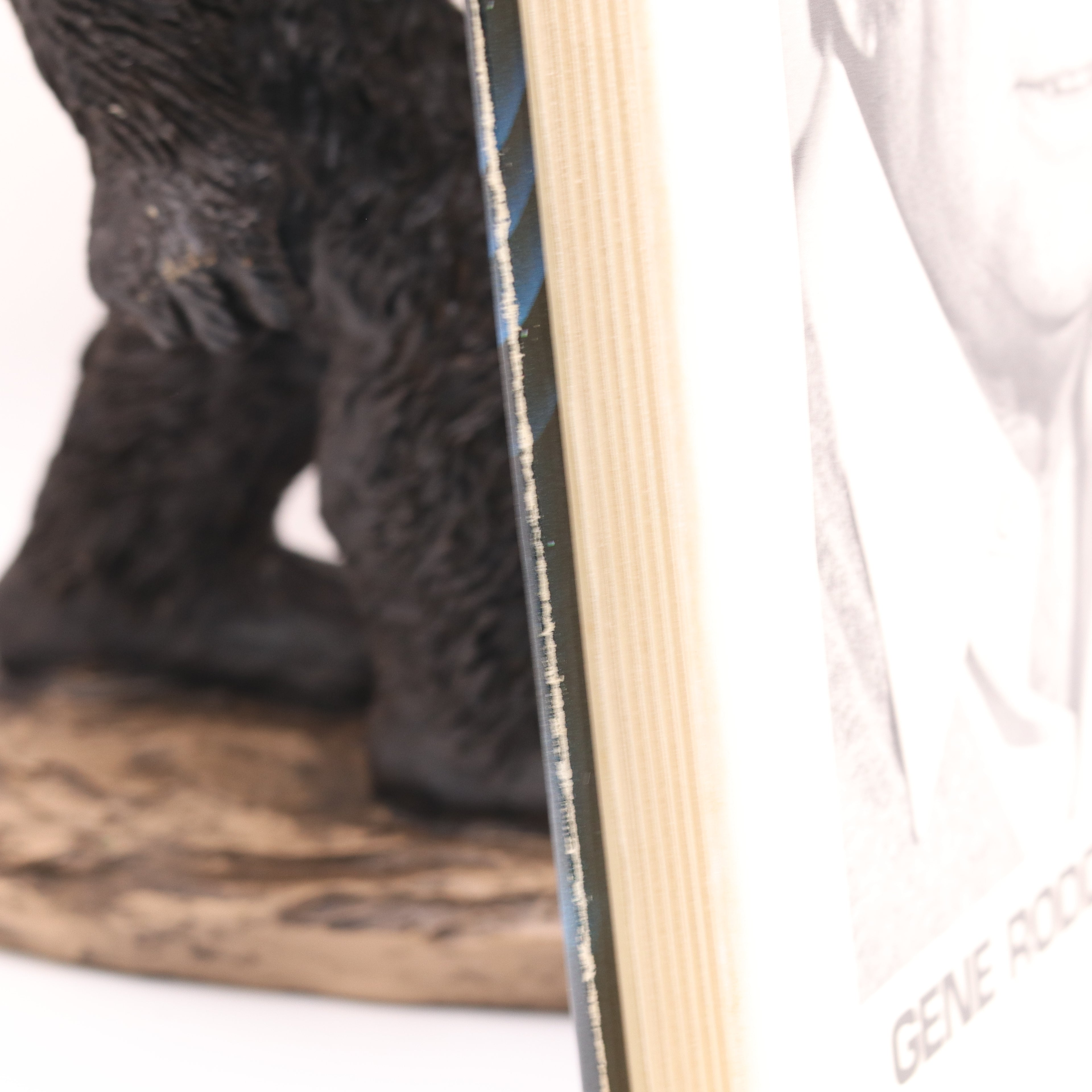 Close-up of a book with a blurred background