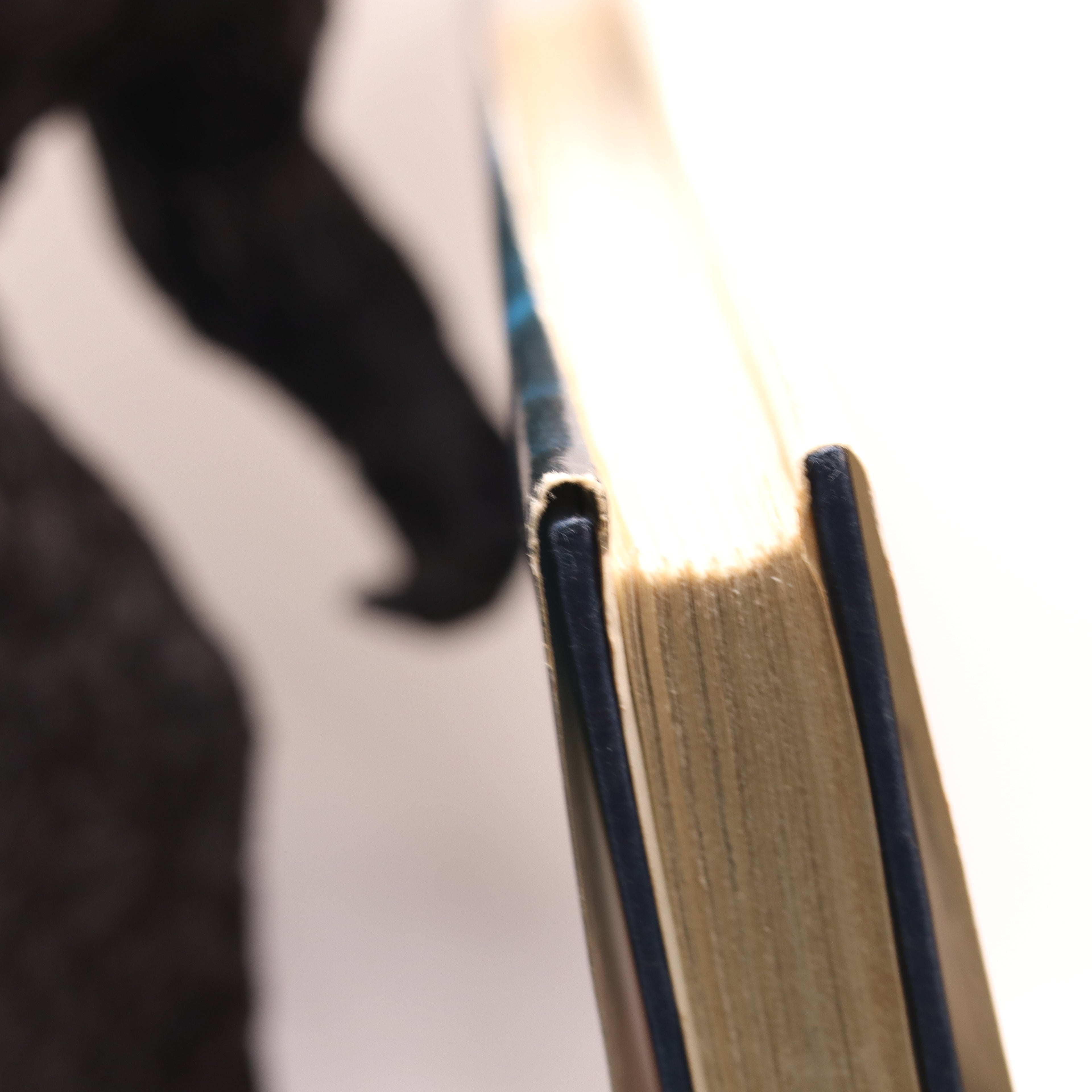 Close-up of a book with a blurred background