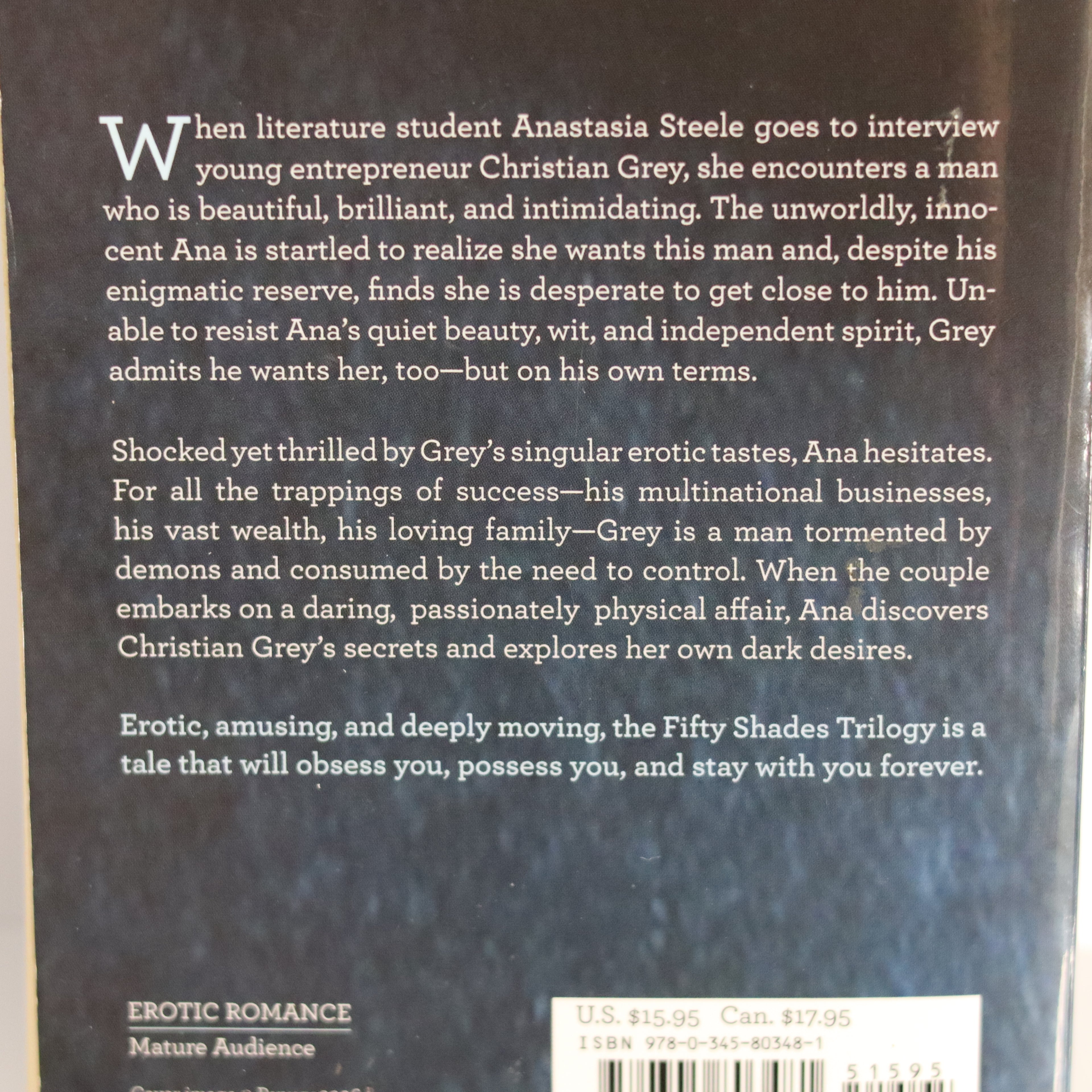 Back cover of a book with text about an erotic romance story