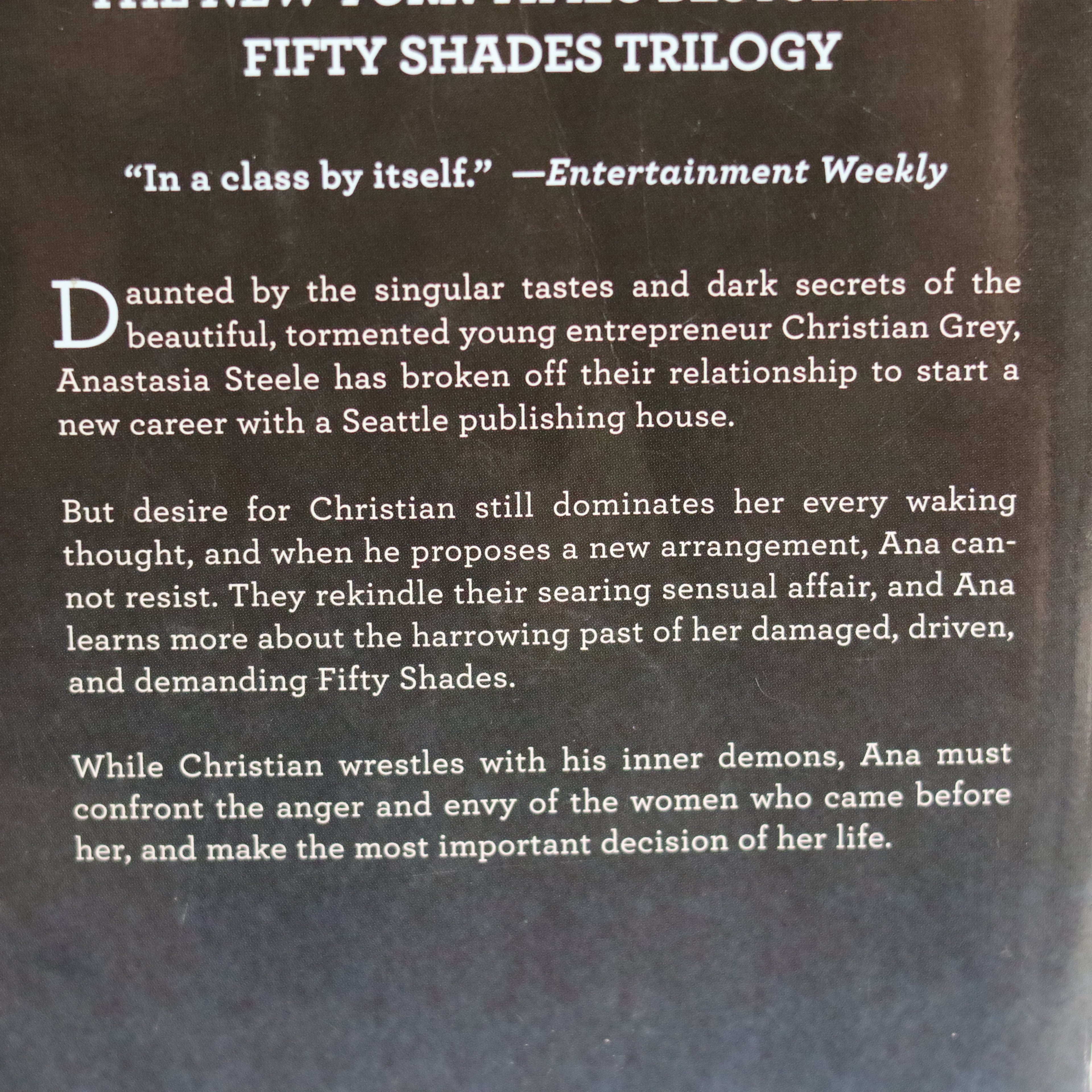 Text excerpt from a book or movie synopsis about a relationship and career change, with a quote from Entertainment Weekly.