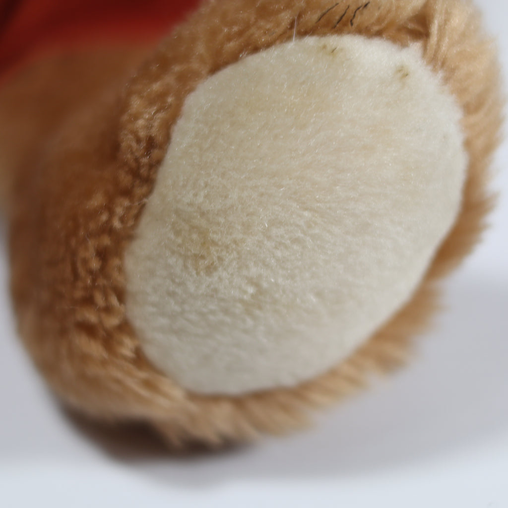 Close-up of a brown and white textured object on a white background