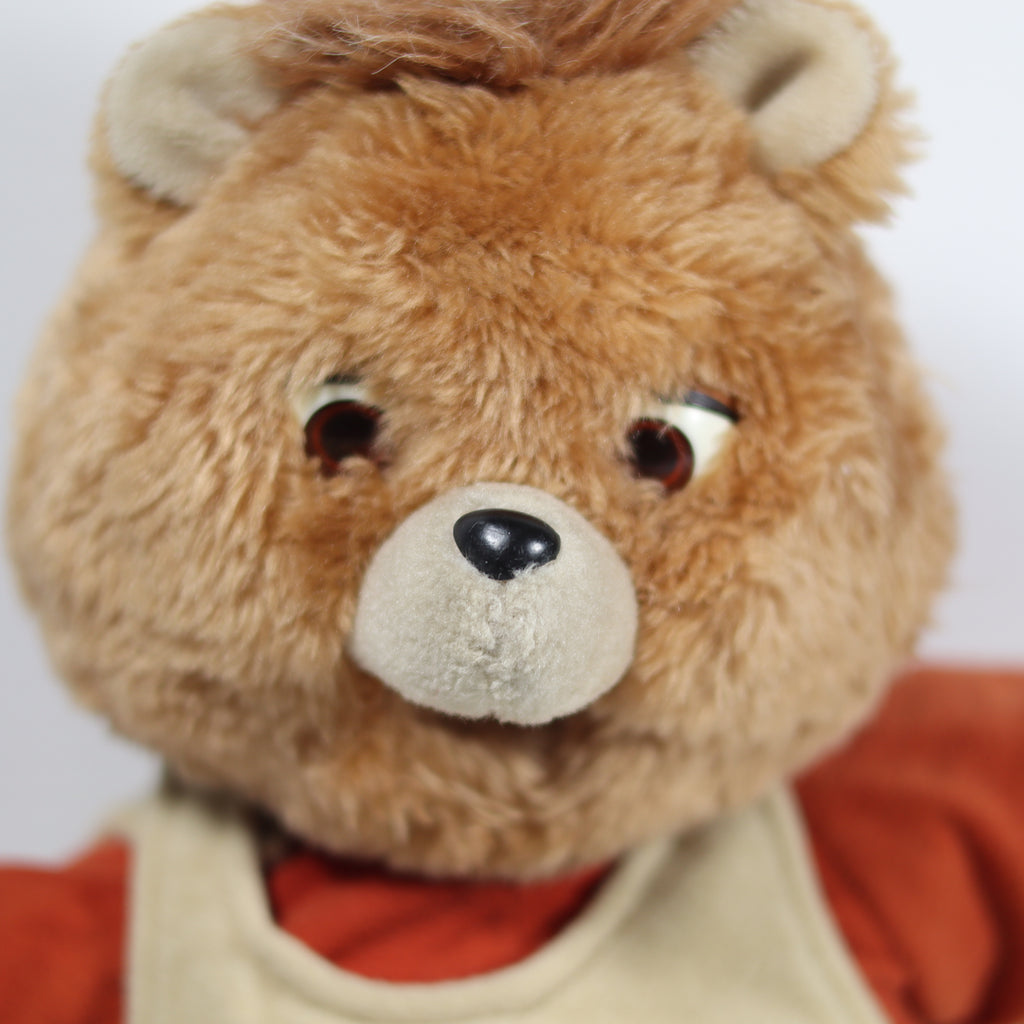 Close-up of a teddy bear with a blurred background