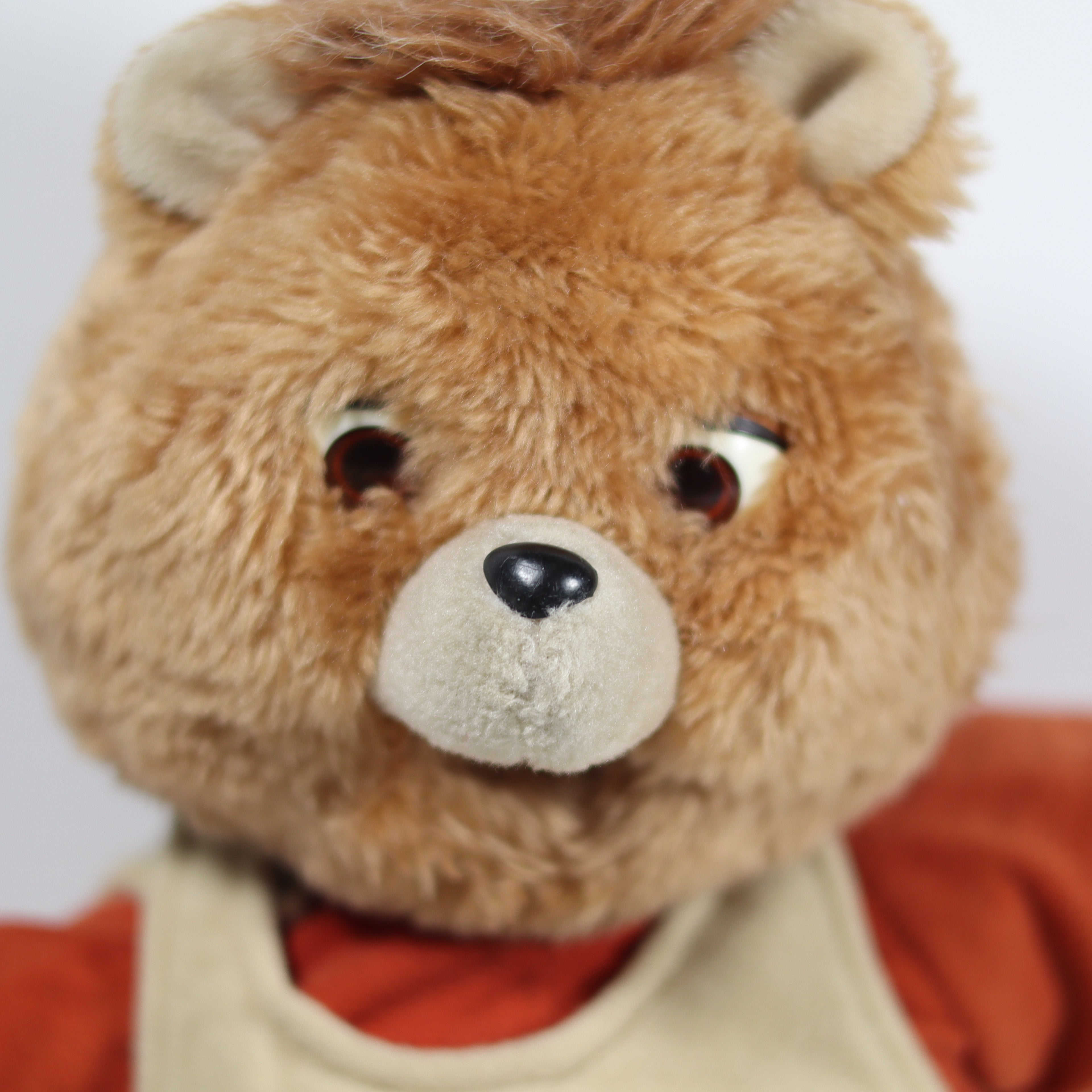 Close-up of a teddy bear with a blurred background