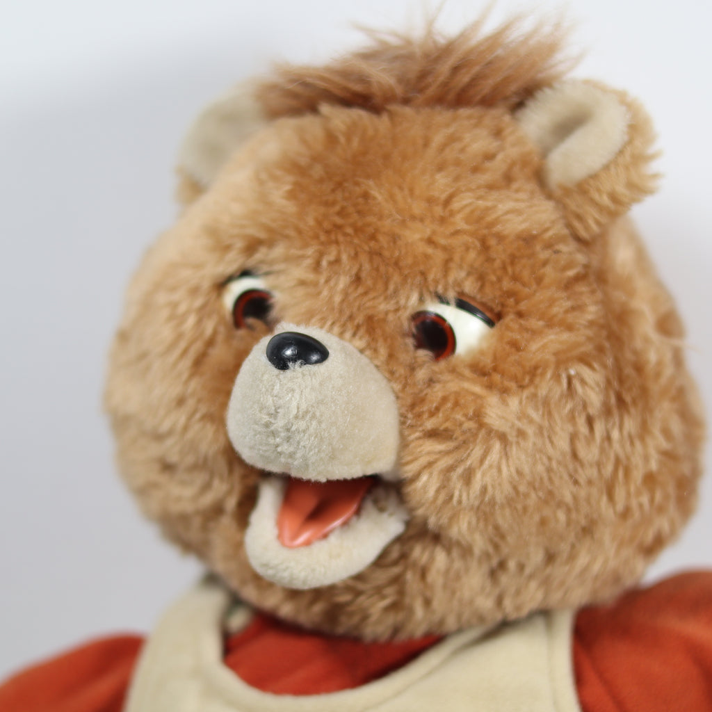 Close-up of a plush teddy bear with a neutral background