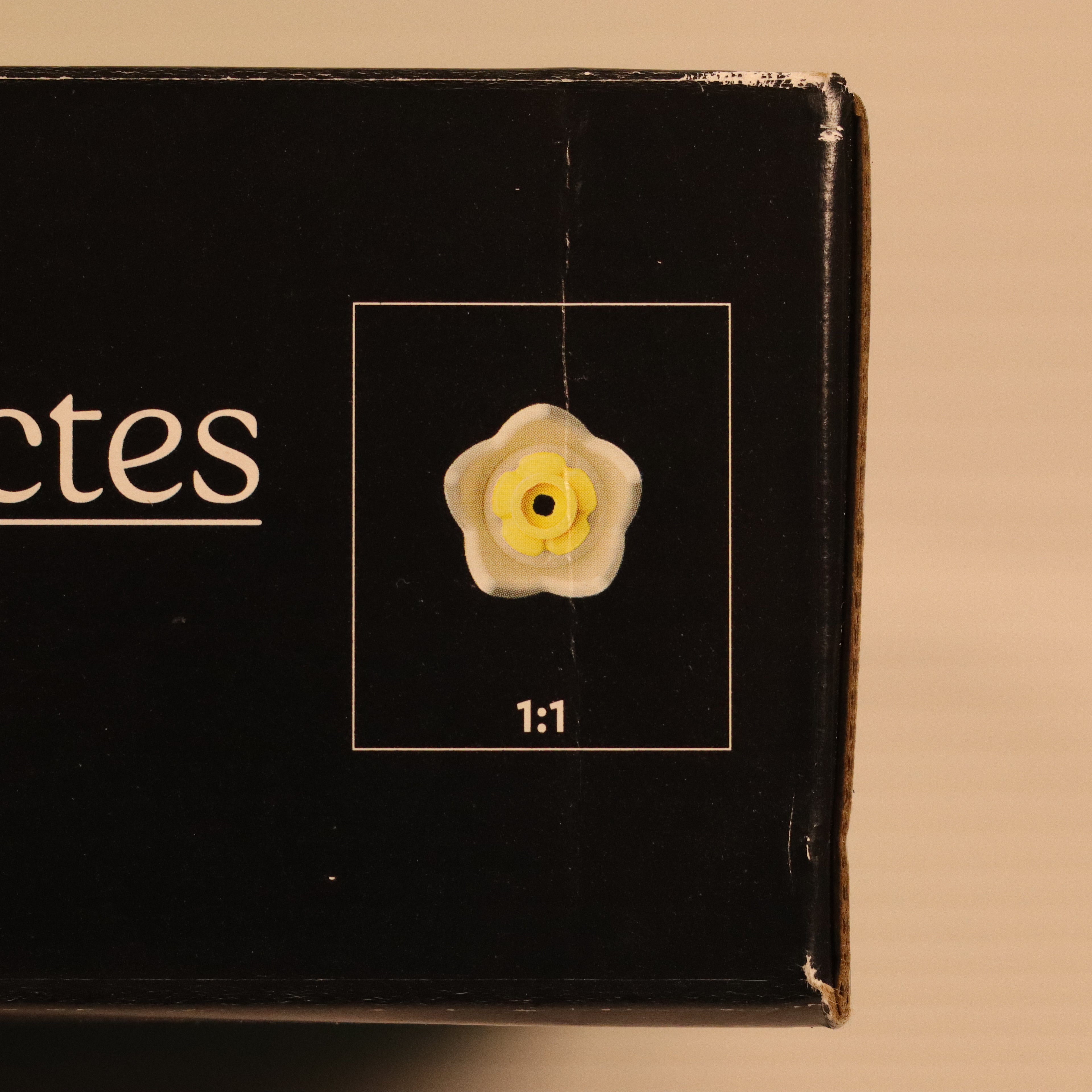 Flower-shaped object on a black box with 'ctes' branding