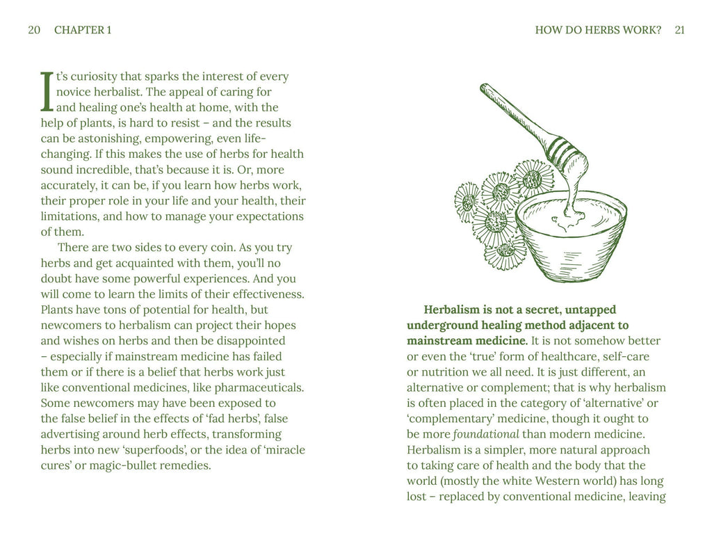 Book page about herbs with text and illustrations on a white background