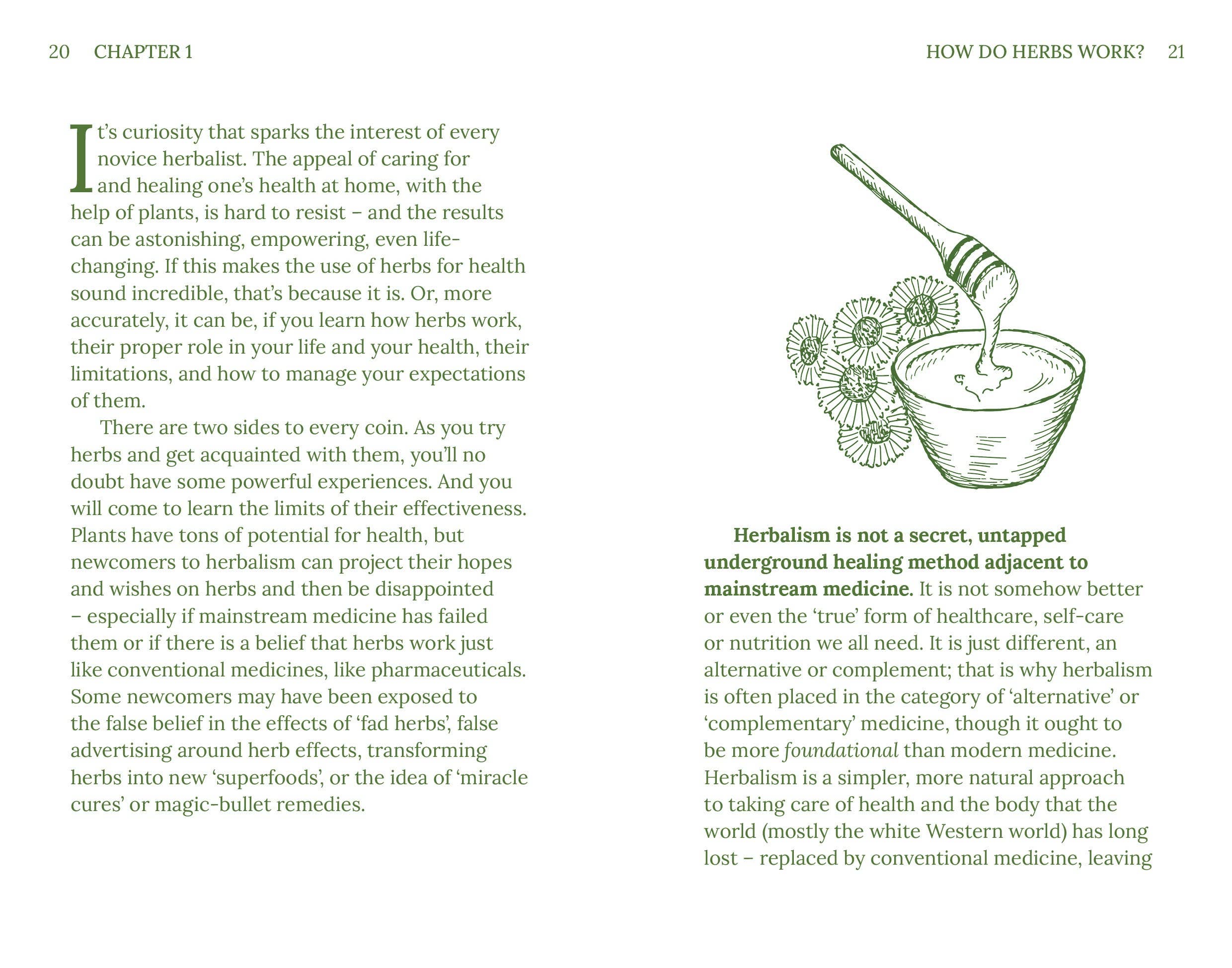 Book page about herbs with text and illustrations on a white background